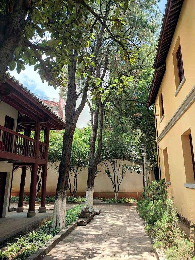 Kunming - Universite du Yunnan (24).jpg